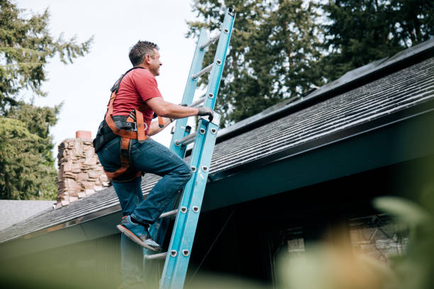 Best Rubber Roofing (EPDM, TPO)  in Phoenix, IL